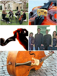Create a classical ambience at your wedding with a string quartet